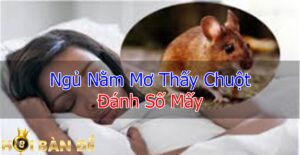 Mơ thấy chuột - Nằm mơ thấy chuột đánh số mấy chắc trúng?