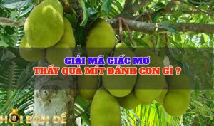 Mơ thấy quả mít điềm gì? - Đánh đề con gì chắc trúng?