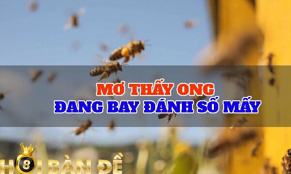 Mơ thấy ong đang bay