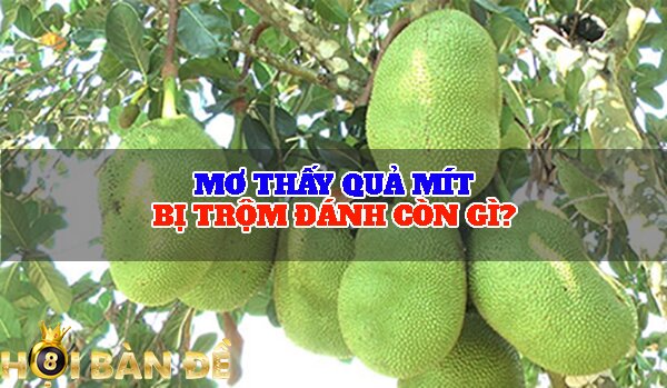 Mơ thấy quả mít điềm gì? - Đánh đề con gì chắc trúng?