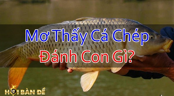 Mo-Thay-Ca-Chep-Danh-Con-Gi