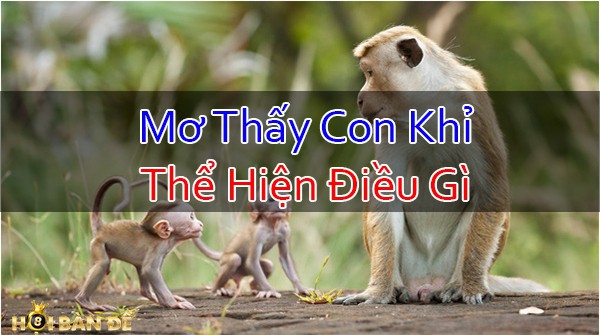 Nam-Mo-Thay-Con-Khi-Danh-Con-Gi-Chiem-Bao-Thay-Khi