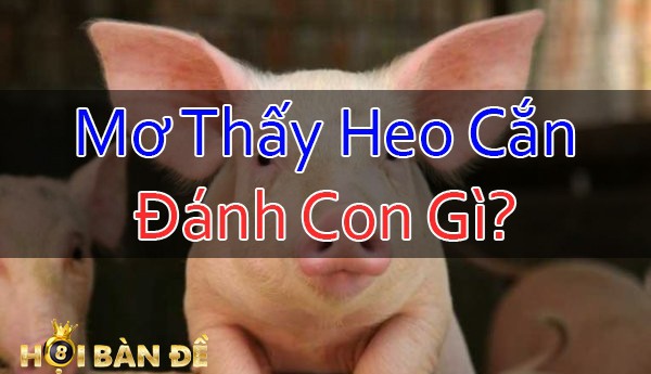 Nam-Mo-Thay-Heo-Can-Danh-Con-Gi-Mo-Thay-Lon-Can