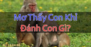 Nam-Mo-Thay-Con-Khi-Danh-Con-Gi-Chiem-Bao-Thay-Khi