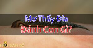 Nam-Mo-Thay-Dia-Mo-Thay-Dia-Can-Danh-Con-Gi