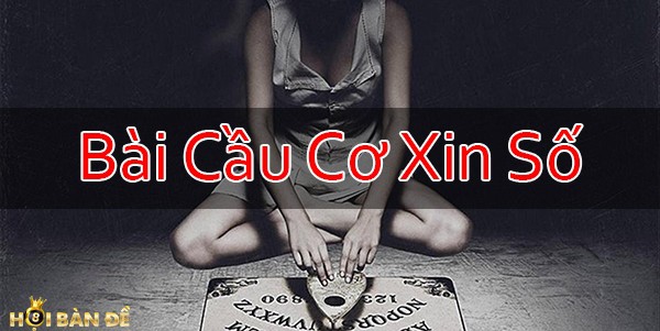 cach-cau-co-xin-so-de-tuyet-mat