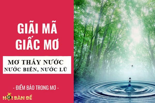 Mơ Thấy Nước Đánh Đề Con Gì? và Những Điềm Dự Báo