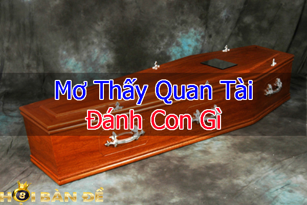 mo-thay-quan-tai-danh-con-gi