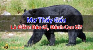 Mo-Thay-Gau-Danh-Con-Gi-Mo-Thay-Gau-Den