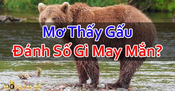 Mo-Thay-Gau-Danh-Con-Gi-Mo-Thay-Gau-Den