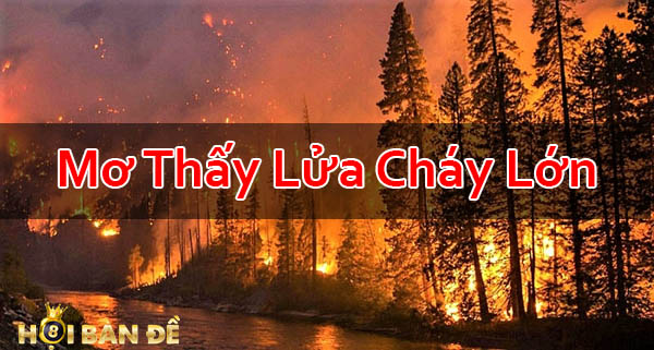 Nam-Mo-Thay-Lua-Chay-Danh-Con-Gi-Thay-Lua-Chay-Tren-Doi