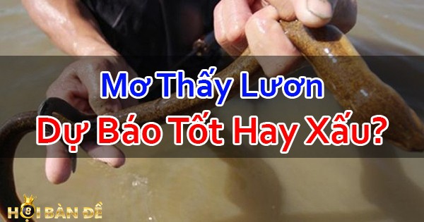 Nam-Mo-Thay-Luon-Danh-Con-Gi-Mo-Thay-Lam-Thit-Luon