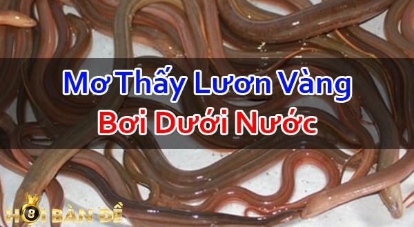 Nam-Mo-Thay-Luon-Danh-Con-Gi-Mo-Thay-Lam-Thit-Luon