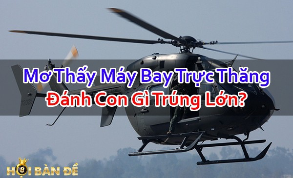 Nam-Mo-Thay-May-Bay-Truc-Thang-Danh-Con-Gi-Trung-Lon