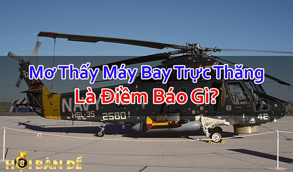 Nam-Mo-Thay-May-Bay-Truc-Thang-Danh-Con-Gi-Trung-Lon