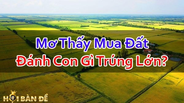 Mo-Thay-Mua-Dat-Danh-De-Con-Gi-May-Man-Hom-Nay