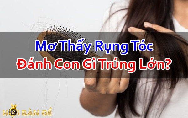 Nam-Mo-Thay-Rung-Toc-Nhieu-Danh-Con-Gi-Chac-Trung