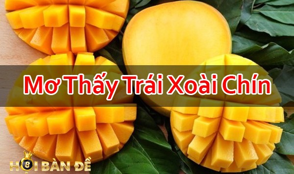 Nam-Mo-Thay-Trai-Xoai-La-Diem-Bao-Gi-Danh-Con-Gi-Trung-Lon