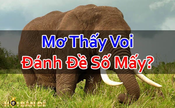 Nam-Mo-Thay-Voi-Mo-Thay-Tuong-Voi-Danh-Con-Gi