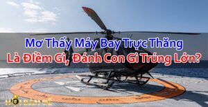 Nam-Mo-Thay-May-Bay-Truc-Thang-Danh-Con-Gi-Trung-Lon