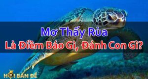 Nam-Mo-Thay-Rua-Mo-Thay-Rua-Vang-Danh-Con-Gi-Trung-Lon