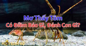 Nam-Mo-Thay-Tom-Danh-Con-Gi-Co-Diem-Bao-Gi