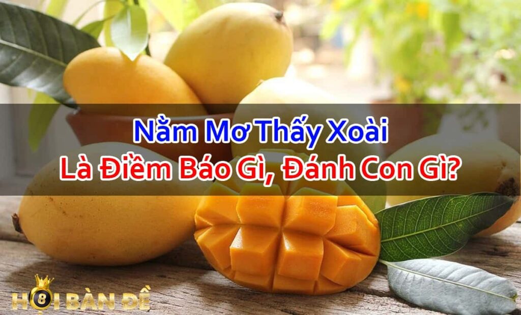 Nam-Mo-Thay-Trai-Xoai-La-Diem-Bao-Gi-Danh-Con-Gi-Trung-Lon