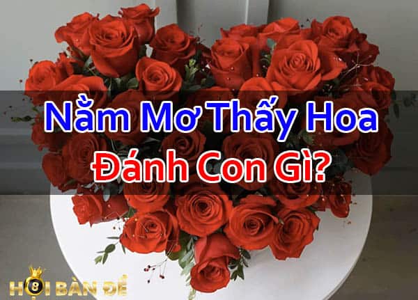 Nam-Mo-Thay-Hoa-Mo-Thay-Hoa-Gia-Danh-Con-Gi