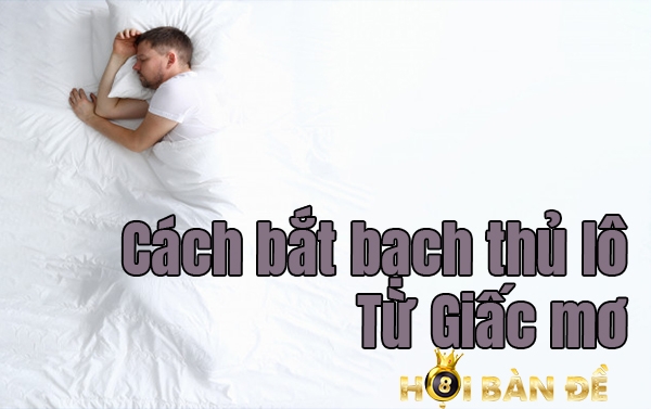 Bạch Thủ Lô Là Gi? Cách Bắt Bạch Thủ Lô Chuẩn