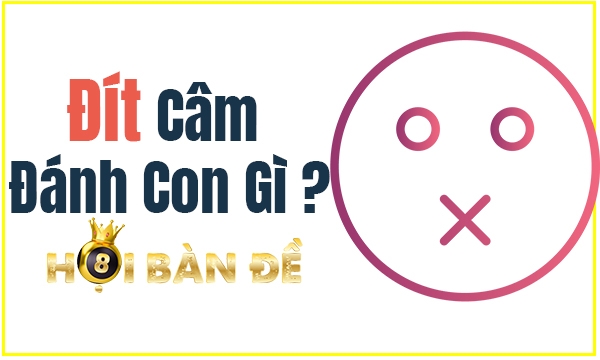 Đầu Đít Câm Đánh Lô Gì? Kinh Nghiệm Đánh Lô Đầu Câm