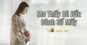 Mơ Thấy Bà Bầu Đánh Số Mấy? May Hay Rủi?