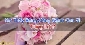 Mơ Thấy Hoa Hồng Đánh Con Gì? Ý Nghĩa Bông Hồng là Gì?