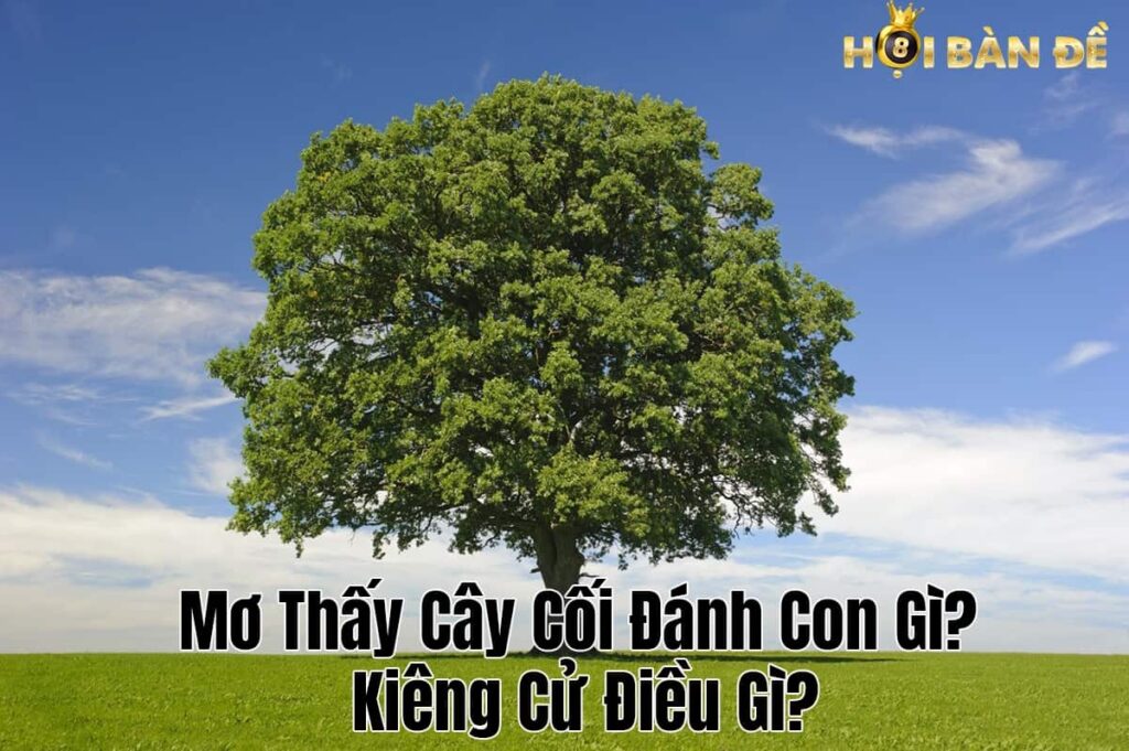 Mơ Thấy Cây Cối Đánh Con Gì? Kiêng Cử Điều Gì?