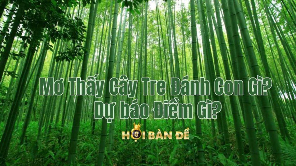 Mơ Thấy Cây Tre Đánh Con Gì? Dự báo Điềm Gì?