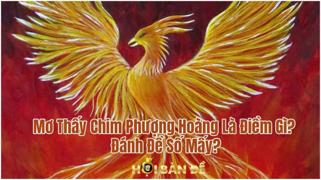 Mơ Thấy Chim Phượng Hoàng Là Điềm Gì? Đánh Đề Số Mấy?