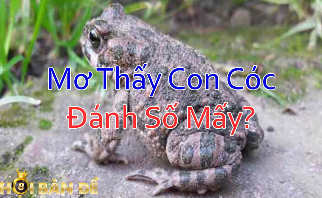 mo-thay-con-coc-danh-so-may