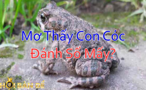 mo-thay-con-coc-danh-so-may