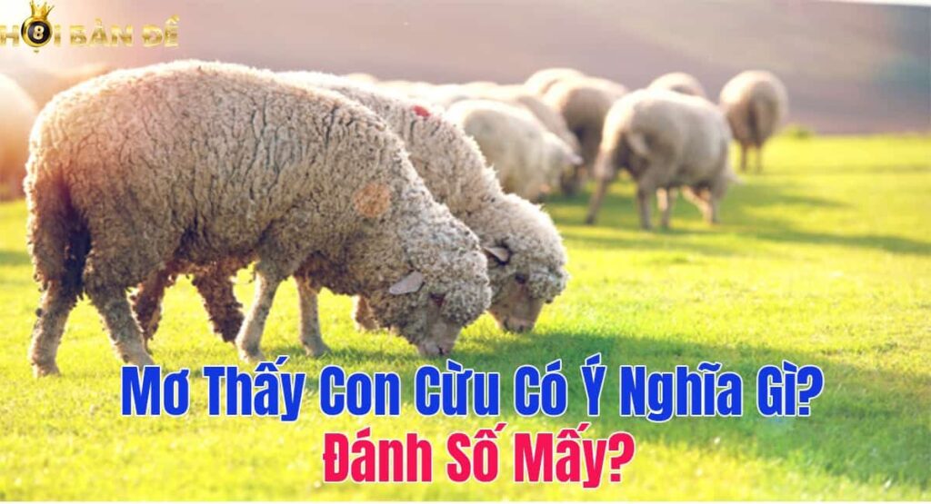 Mơ Thấy Con Cừu Số Mấy? Ý Nghĩa Khi Mơ Thấy Cừu