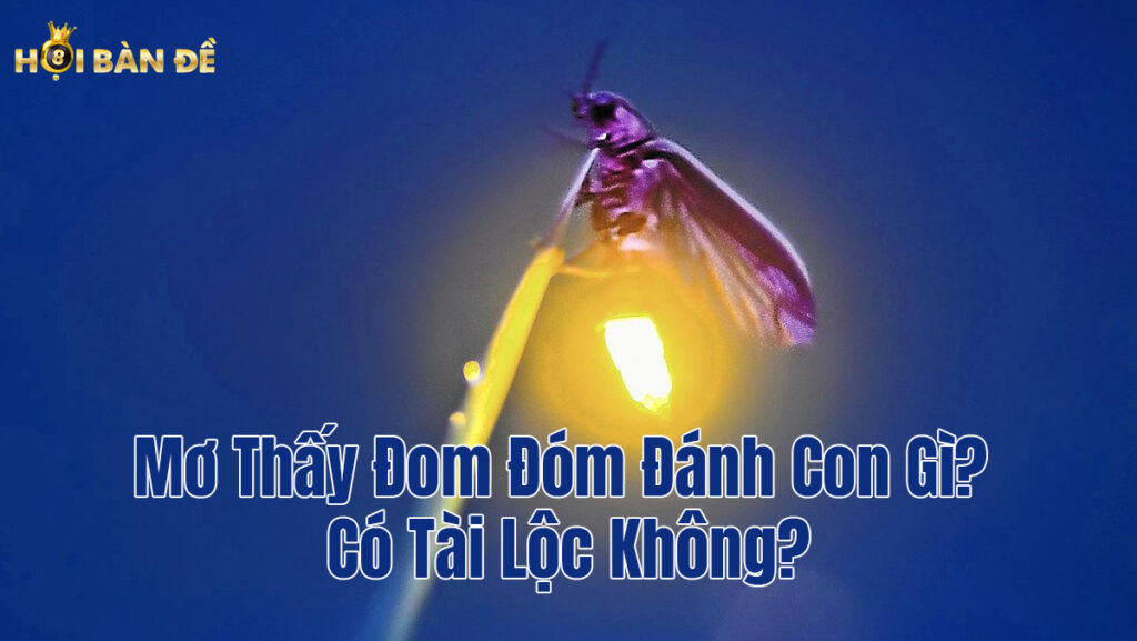 Mơ Thấy Đom Đóm Đánh Con Gì? Có Tài Lộc Không?