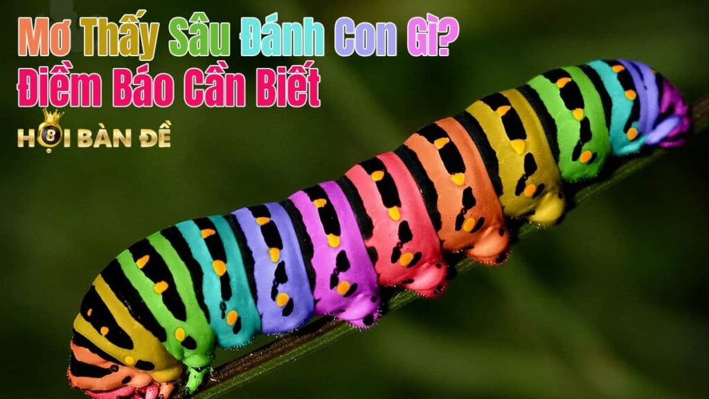 Mơ Thấy Sâu Đánh Con Gì? Điềm Báo Cần Biết