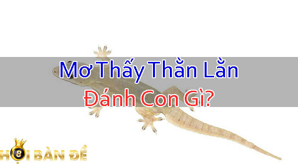 mo-thay-than-lan-danh-con-gi 