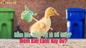 Nằm Mơ Thấy Vịt là Số Mấy? Điềm Báo Lành Hay Dữ?