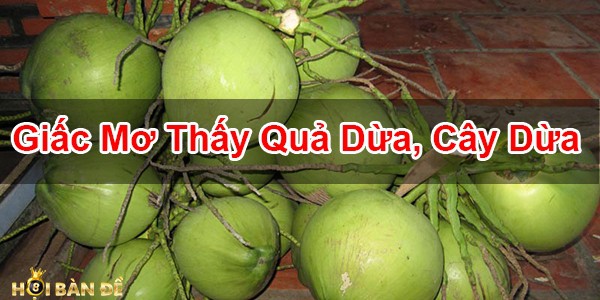 Nam-Mo-Thay-Qua-Dua-Danh-Con-Gi-Mo-Thay-Chat-Cay-Dua