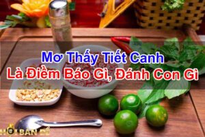 Mo-Thay-Tiet-Canh-Tiet-Canh-Vit-Lon-Diem-Gi