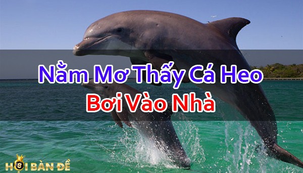 Nam-Mo-Thay-Ca-Heo-Danh-So-May-Trung-Lon