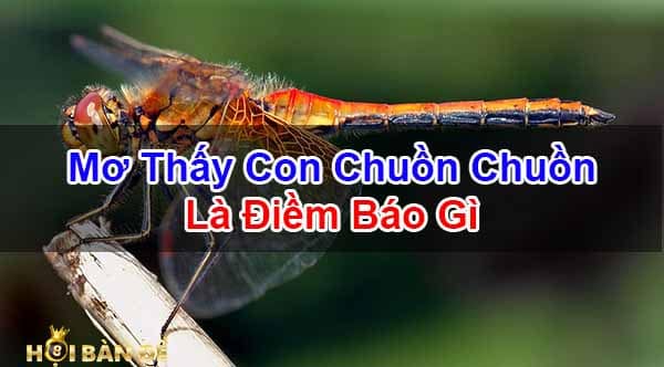 Mo-Thay-Con-Chuon-Chuon-Danh-Con-Gi-Diem-Bao-Tot-Hay-Xau