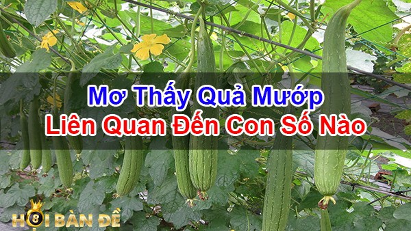 Nam-Mo-Thay-Qua-Muop-Danh-Con-Gi-Diem-Bao-Gi-Sap-Den