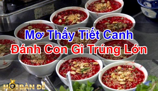 Mo-Thay-Tiet-Canh-Tiet-Canh-Vit-Lon-Diem-Gi