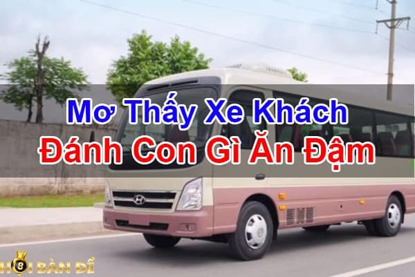 Nam-Mo-Thay-Xe-Khach-Danh-Con-Gi-Trung-Lon-Diem-Bao-Gi