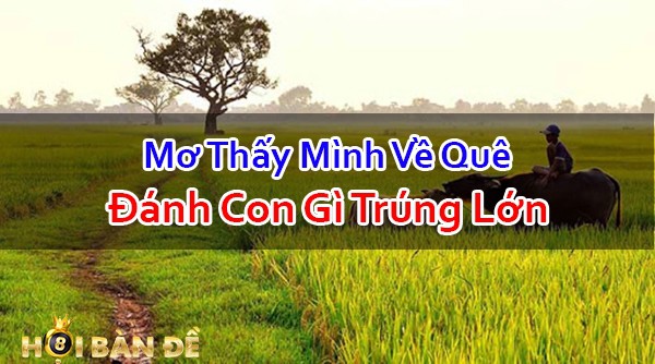 Mo-Thay-Ve-Que-Danh-Con-Gi-Diem-Bao-Lanh-Hay-Du